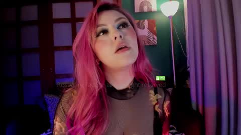 Snapshot of theprincess_rosee chatting on November 2025 02:56:02 AM Rosie online show from November 2025 02:56:02 AM