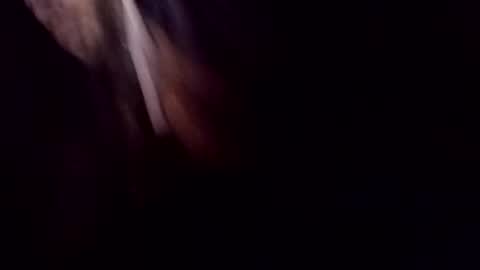 theprofessorxo online show from September 2025 12:49:01 AM