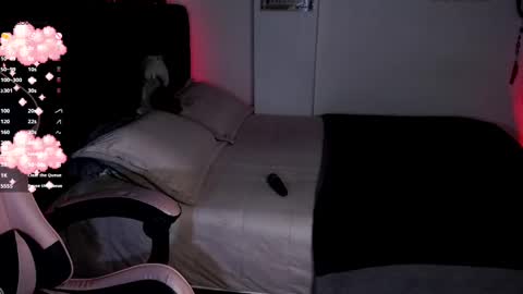 Snapshot of theprojectsara1 chatting on October 2025 01:45:01 PM Sara online show from October 2025 01:45:01 PM