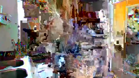 therealbabygofficial online show from February 2025 07:40:02 PM