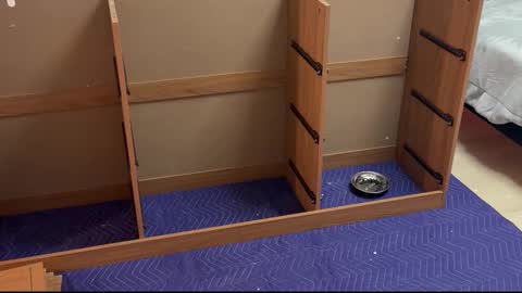 Snapshot of therealdylansdick chatting on November 2025 12:41:01 AM therealdylansdick online show from November 2025 12:41:01 AM