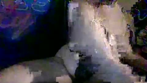 Snapshot of therealweedqueen420 chatting on November 2025 06:40:02 PM Benni420 online show from November 2025 06:40:02 PM