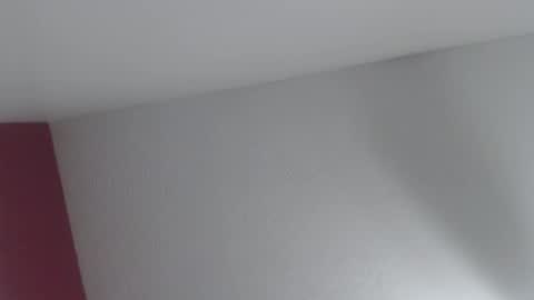 Snapshot of thetexan1991 chatting on November 2025 12:31:02 AM thetexan1991 online show from November 2025 12:31:02 AM