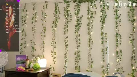 Snapshot of thetinyblue chatting on February 2025 05:48:01 PM Tiny Blue online show from February 2025 05:48:01 PM