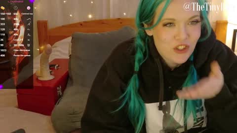 Snapshot of thetinyblue chatting on February 2025 09:12:01 PM Tiny Blue online show from February 2025 09:12:01 PM