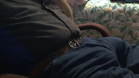 Snapshot of thetnguy chatting on December 2024 12:42:02 AM thetnguy online show from December 2024 12:42:02 AM