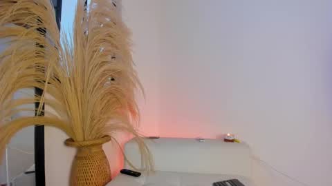 Snapshot of thiago_connor21 chatting on November 2025 06:18:02 PM Thiago online show from November 2025 06:18:02 PM