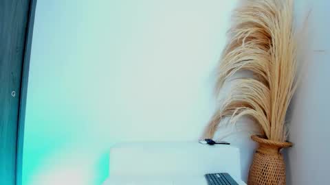 Snapshot of thiago_connor21 chatting on December 2025 06:13:02 PM Thiago online show from December 2025 06:13:02 PM