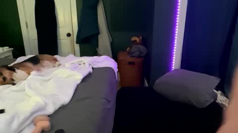 Thick D Bottom online show from March 2026 04:51:01 AM