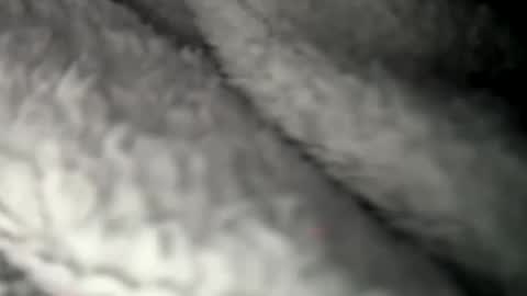 Snapshot of thickuncut7148704 chatting on February 2025 09:16:01 AM thickuncut7148704 online show from February 2025 09:16:01 AM