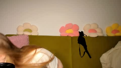 Snapshot of thisisamelia chatting on January 2025 05:55:02 PM Amelia shows on mondays fridays and sundays if anything changes im giving updates on my fansly online show from January 2025 05:55:02 PM