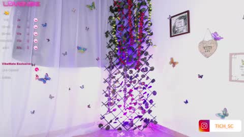 TICH online show from December 2024 12:16:02 PM