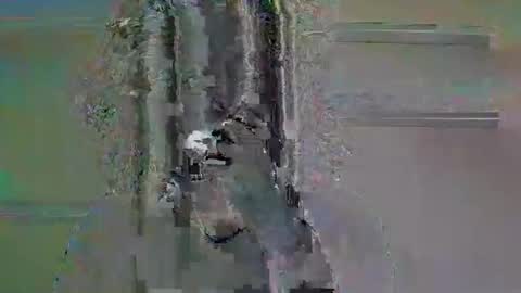 tifa_lockheart online show from April 2026 11:03:02 AM