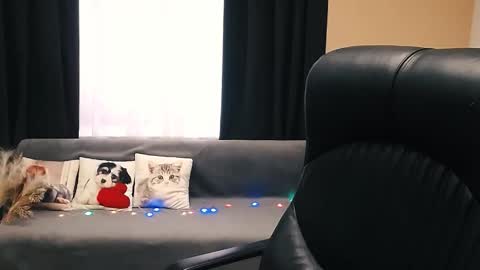 Snapshot of timeparadice chatting on November 2025 08:46:02 AM Luisa online show from November 2025 08:46:02 AM