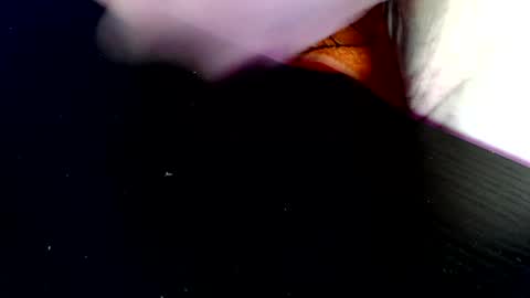 timer08230823 online show from April 2026 07:51:02 AM