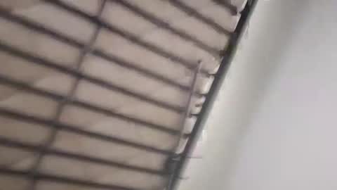 timmy808808 online show from January 2025 09:25:02 AM