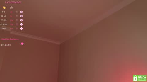 Snapshot of tinkerdinky chatting on December 2024 10:48:02 PM Polly online show from December 2024 10:48:02 PM