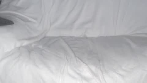 Snapshot of tiny_d chatting on December 2024 08:32:02 AM tiny_d online show from December 2024 08:32:02 AM