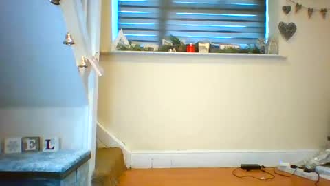 Snapshot of tinyasian911718 chatting on December 2024 01:34:02 PM Tinyasian911718 sweetinyasian instagram online show from December 2024 01:34:02 PM