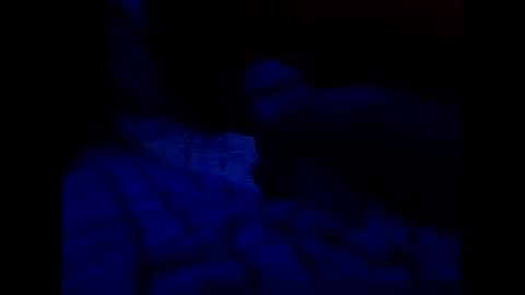 tixzle online show from March 2026 07:36:02 PM