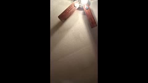 Vols online show from January 2026 01:27:02 PM