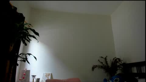 Snapshot of tokyo_girls chatting on July 2026 05:09:01 PM Tokyo online show from July 2026 05:09:01 PM