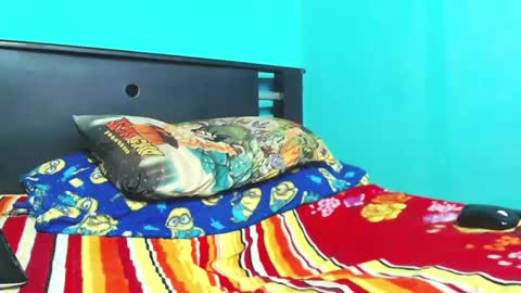 Snapshot of tomas_wolfk chatting on February 2025 03:40:01 AM Andres. online show from February 2025 03:40:01 AM