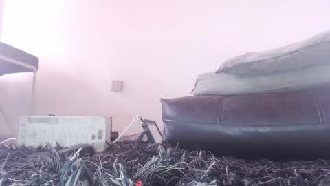   Thomas    online show from February 2026 06:07:01 PM