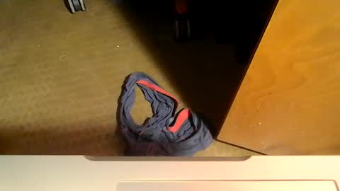 Snapshot of tomsza81463 chatting on October 2025 11:18:01 AM tomsza81463 online show from October 2025 11:18:01 AM