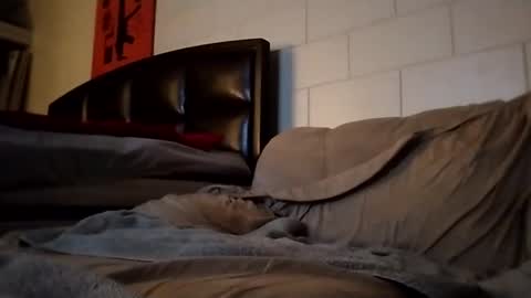 Snapshot of tomthebomb347 chatting on September 2025 10:20:02 PM tomthebomb347 online show from September 2025 10:20:02 PM