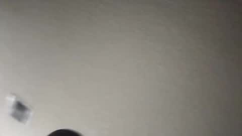 tomthebomb347 online show from November 2025 12:16:02 AM