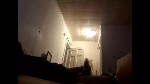 tonetanight online show from February 2026 04:22:02 PM