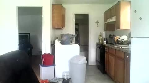 Snapshot of tonyguidofloyd chatting on June 2026 04:31:02 PM Tony Floyd online show from June 2026 04:31:02 PM