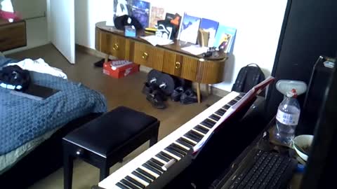tootsybird69 online show from June 2026 05:59:01 PM