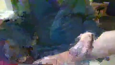 Topcat127 online show from January 2025 07:10:02 AM