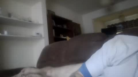 Snapshot of topfoxs30 chatting on February 2025 04:42:02 PM topfoxs30 online show from February 2025 04:42:02 PM