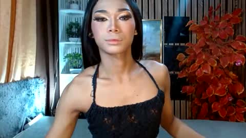 toptrans venice online show from February 2026 03:07:01 AM