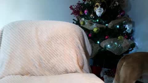 Snapshot of torino_19 chatting on November 2025 01:52:02 AM Enzo Moretti online show from November 2025 01:52:02 AM