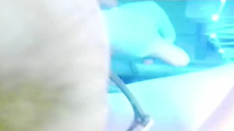 tornne online show from April 2026 12:14:02 PM