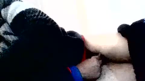 Snapshot of torresurionasantos chatting on February 2026 05:22:02 PM torresurionasantos online show from February 2026 05:22:02 PM