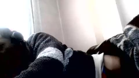 Snapshot of torresurionasantos chatting on February 2026 01:05:02 PM torresurionasantos online show from February 2026 01:05:02 PM