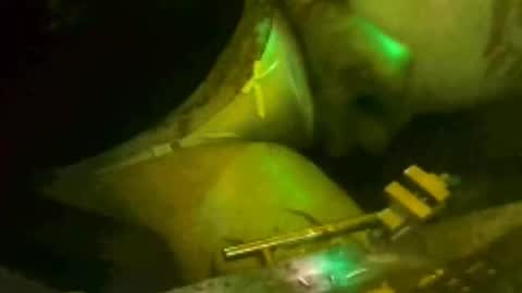 tosexyforjustus online show from March 2026 08:59:02 PM