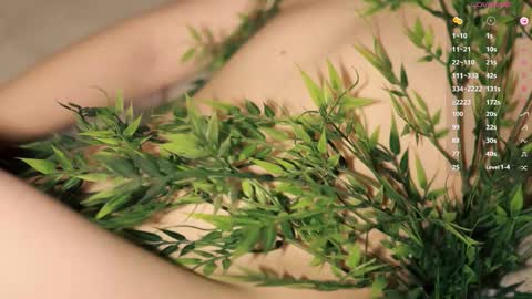 Toshi online show from December 2025 01:05:02 PM