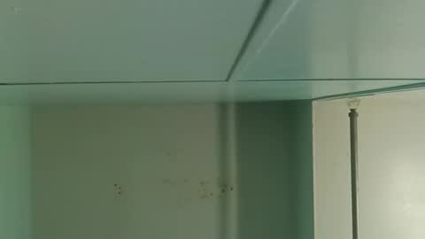 Snapshot of totallyawesome_65 chatting on October 2025 02:15:01 PM totallyawesome_65 online show from October 2025 02:15:01 PM