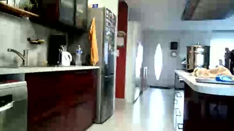 toutim6163 online show from October 2025 07:32:01 AM