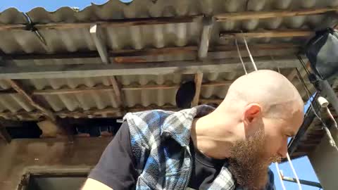 Snapshot of tralalabala chatting on March 2026 11:49:01 AM Tralalabala online show from March 2026 11:49:01 AM