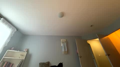 Snapshot of transgirl007 chatting on May 2026 10:04:02 PM transgirl007 online show from May 2026 10:04:02 PM