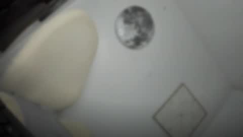 ALMIGHTY GODDESS VALENTINA online show from March 2026 05:29:01 PM