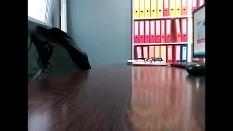 Snapshot of trapper727272 chatting on February 2025 09:24:02 AM Big Head Cock online show from February 2025 09:24:02 AM