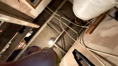 trees559 online show from March 2026 05:55:01 AM